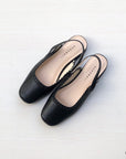 Mules 021-087