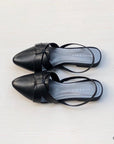 Mules 016-052